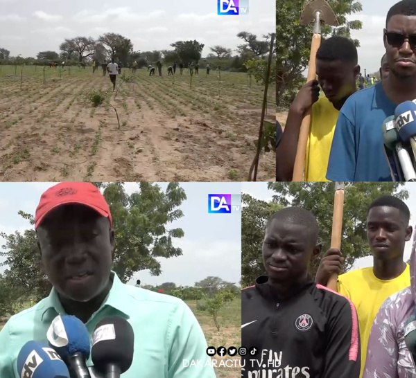 Mbour/ cri de coeur des Pastefiens :"Oú est l'engrais dont le gouvernement parle ? La jeunesse patriotique court  toujours derrière l'engrais. Y'a des choses à rectifier !" (Ousmane Diop Pastef)