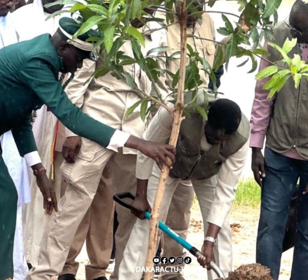 BDF à TOUBA : « C’est grâce  au travail de "Touba Ca Kanam" en matière de reboisement que Touba a été choisie pour abriter la journée de l’arbre »