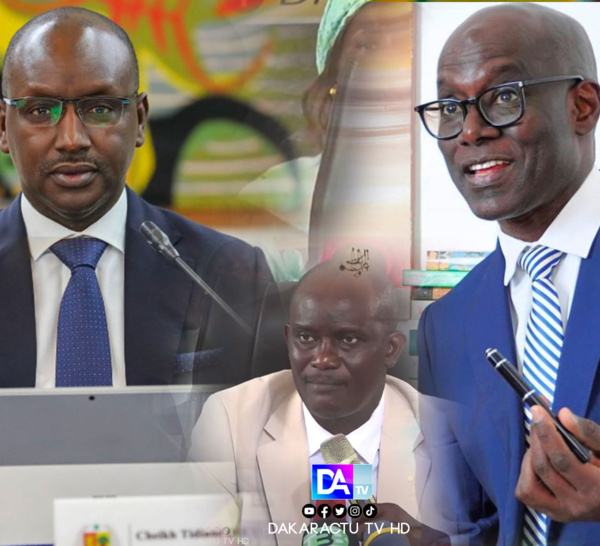 « Scandale » à l’Onas: Thierno Alassane Sall interpelle l’Assemblée nationale !