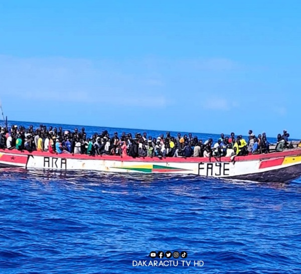 Immigration irrégulière : Six jours après avoir quitté le Sénégal, 196 candidats sont arrivés en Espagne