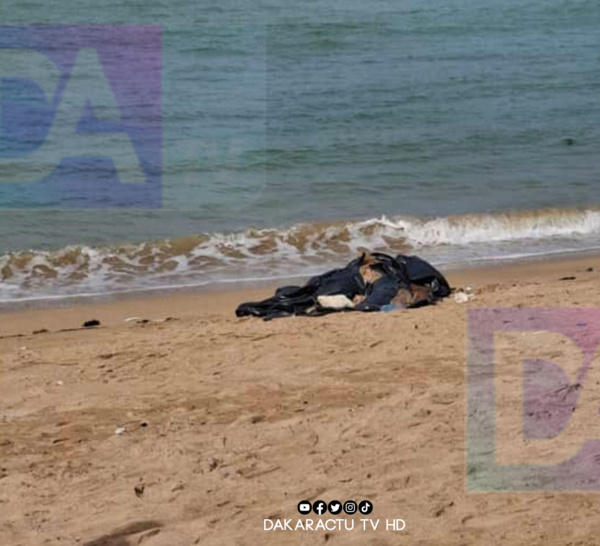 Saly (hôtel Palm Beach) : Un corps sans vie atterrit sur la plage