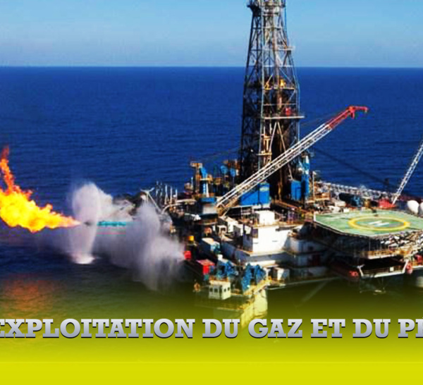 Pétrole et Gaz au Sénégal: l'IISD alerte sur le "grand pari des sénégalais sur le Gaz Naturel Liquéfié"