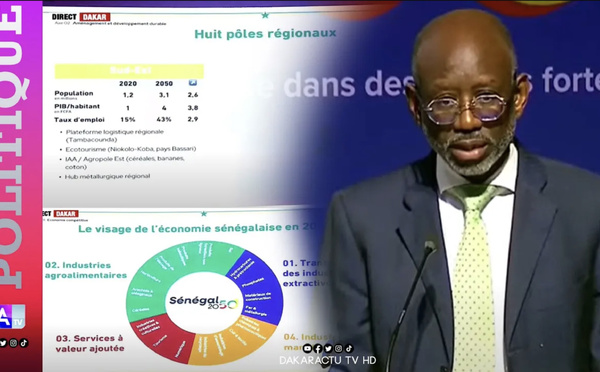 Victor Ndiaye présente la vision Sénégal 2050 « Faire du Sénégal en 25 ans un pays souverain, juste et prospère »  