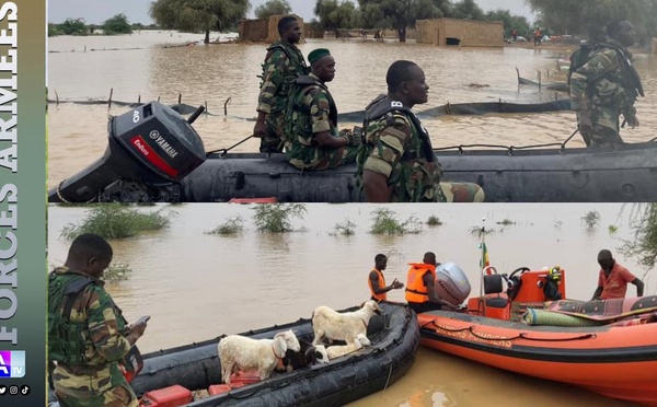 Crue du Fleuve Sénégal : Les militaires participent à l'évacuation des sinistrés dans certains villages de Podor