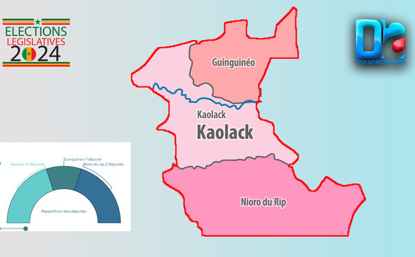 [INFOGRAPHIE] Sénégal/Législatives 2024 : Visualisez les résultats provisoires de la région de Kaolack