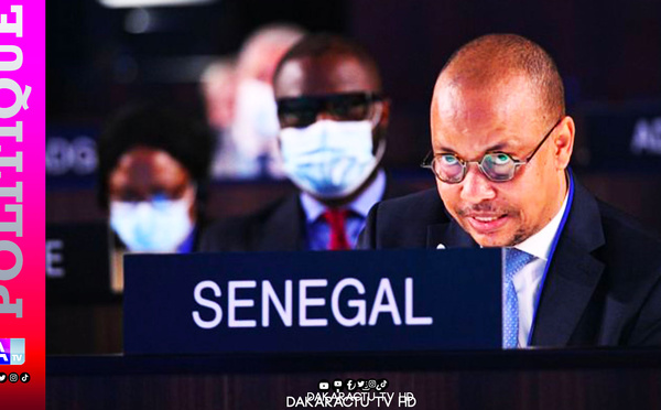 Délégué permanent du Sénégal à l’UNESCO : Pierre Maad Faye remplace Souleymane Jules Diop