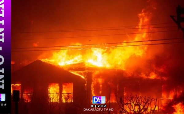 Comment expliquer la violence et la rapidité des incendies à Los Angeles?