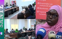 Lutte contre les maladies tropicales négligées: " Il y a plus de 7 millions de personnes au niveau du Sénégal qui sont exposées à ces maladies..."( Dr Ndèye Mb. Kane)